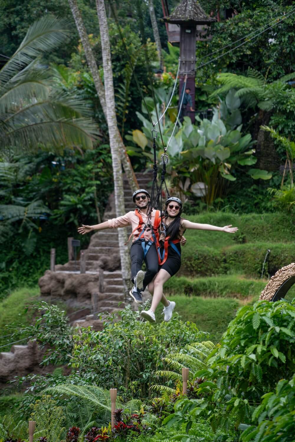 Couple Flying Fox